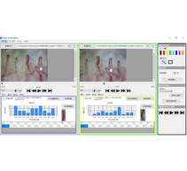 毛細血管流速計測ソフトGOKO-VIP