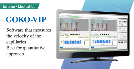 Software GOKO-VIP for the velocity measurement