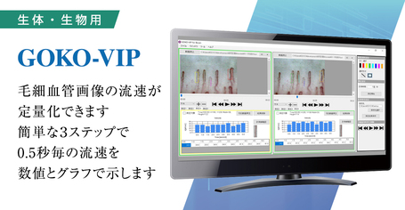 毛細血管流速計測ソフトGOKO-VIP