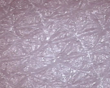 Skin texture (100×)