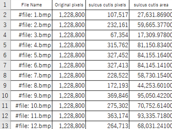 Quantify the area of the skin groove