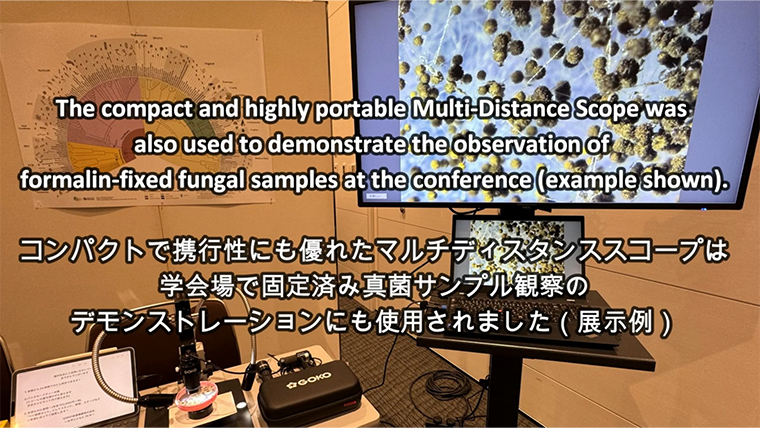 使用現場写真
                    
