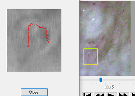 Rectangle mode for circular capillaries