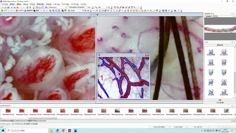 GOKO Measure Plus for advanced image processing / analysis