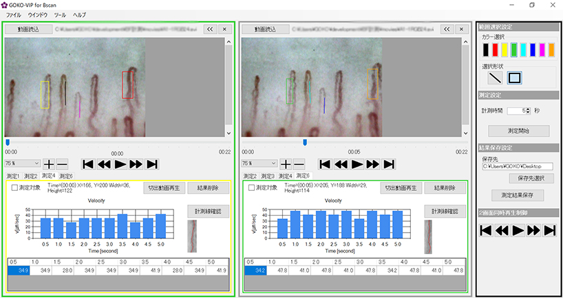 GOKO-VIP for the velocity measurement