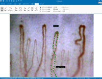 Free measurement software