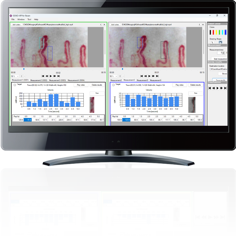 流速計測ソフト「GOKO-VIP (Velocity of Images and Pixels)」画面