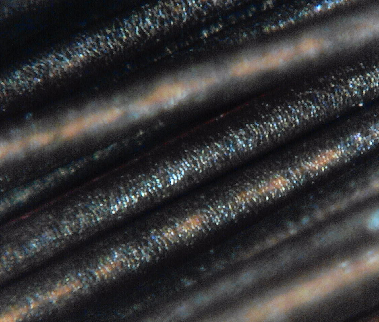 Hair and Cuticle（Approx. 590 times）