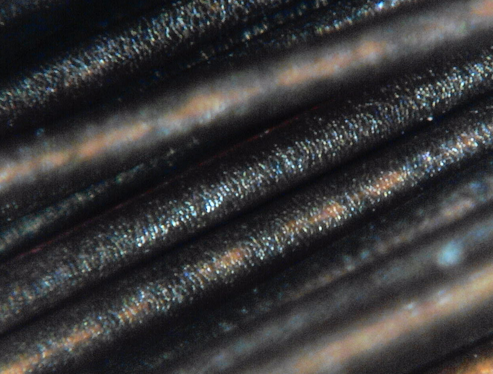 Hair and Cuticle（Approx. 590 times）