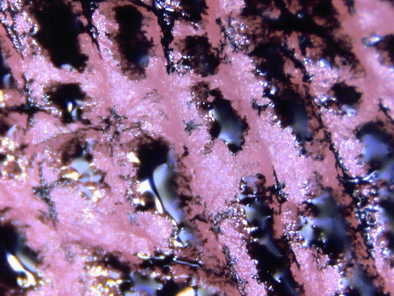 Super-closeup to distant view, with one unit!