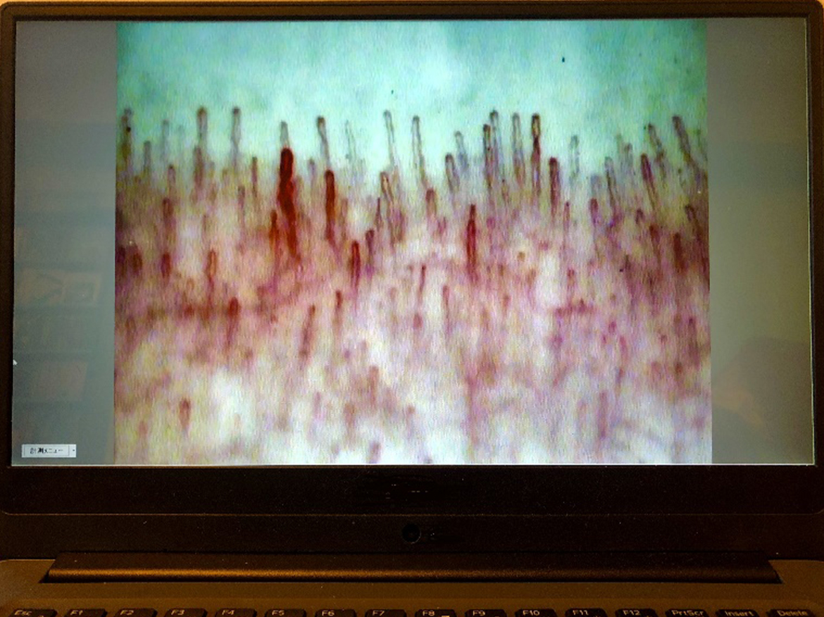 Example of full-screen display