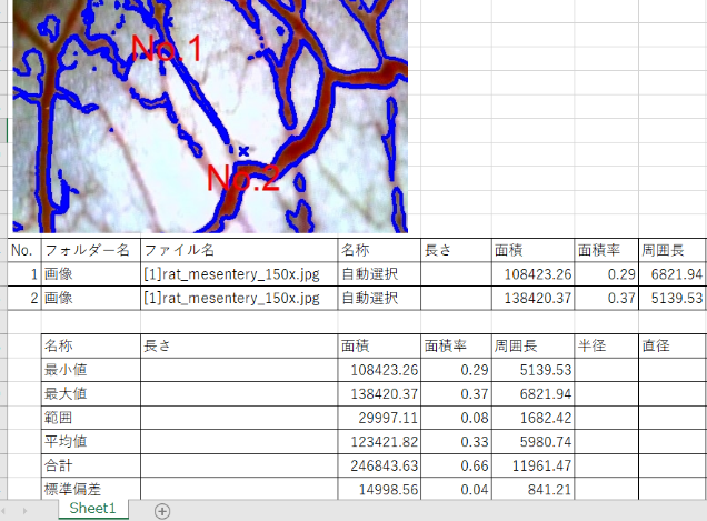 Example of report transferred to Excel